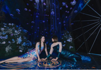 1649228047286039.png image.png